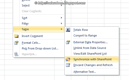 synchronize excel list with sharepoint 2010 list